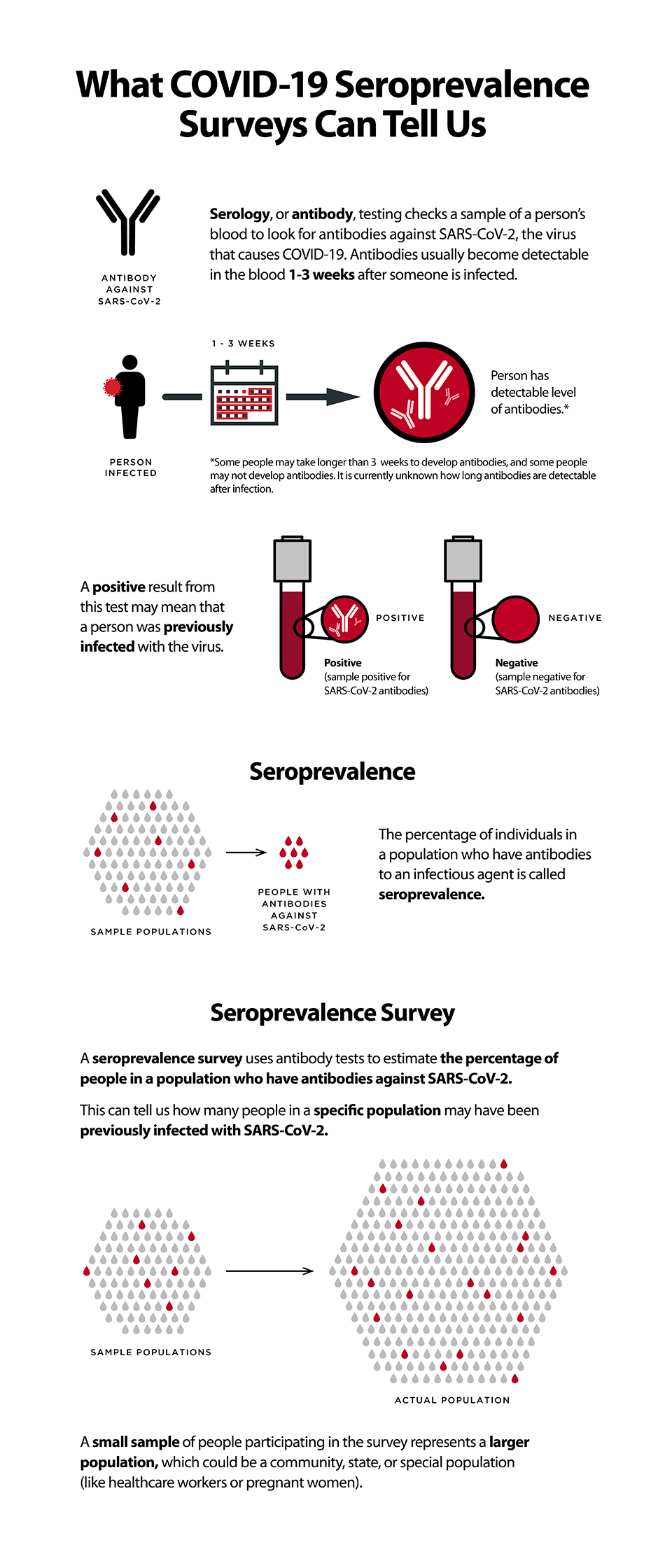 infographic-what-serology-tells-us