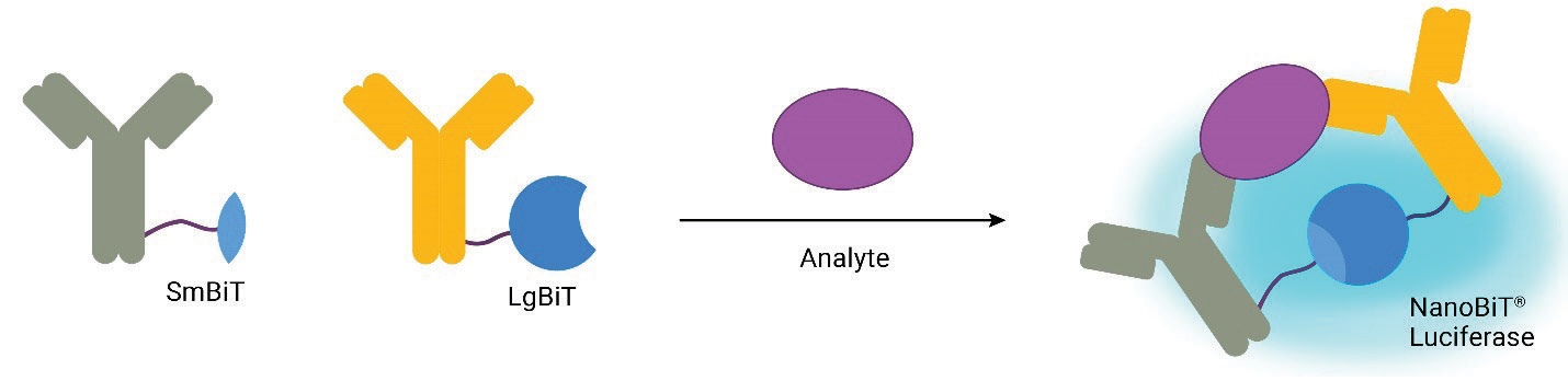 figure-1a