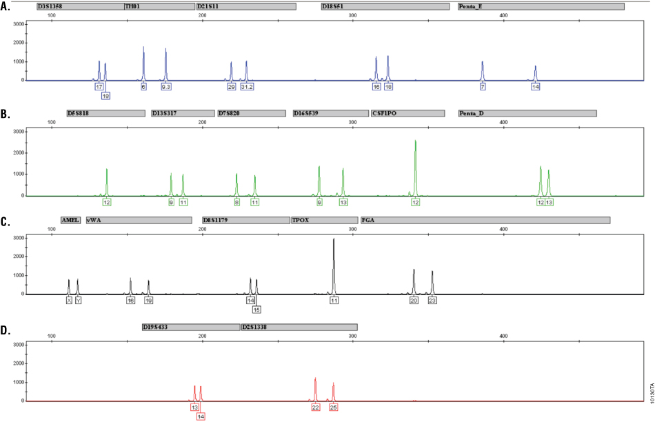 Electropherogram of 2800M genotype generated using the PowerPlex® 18 D System