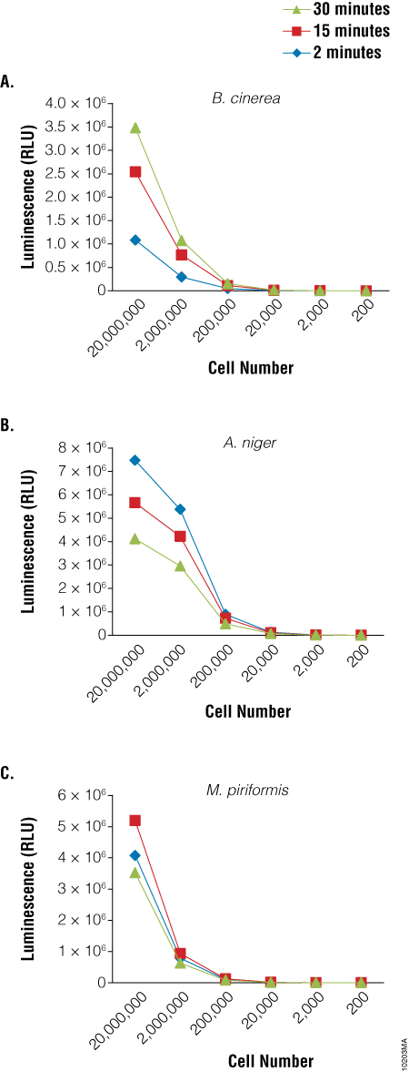 Luminescent output of BacTiter-Glo Assay correlates with dilution of fungal spores.