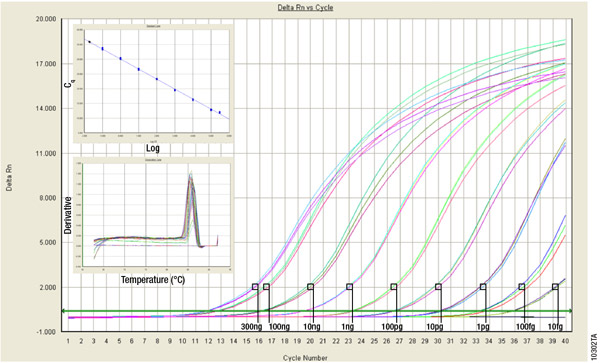 A6020 1-Step Real-Time PCR & qPCR Kit