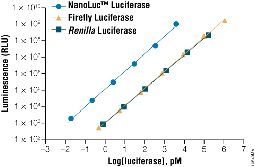 A comparison of the sensitivity of NanoLuc, firefly and Renilla luciferase assays.