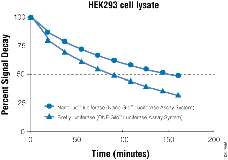 Signal decay kinetics for Nano-Glo® Luciferase Assay Reagent.