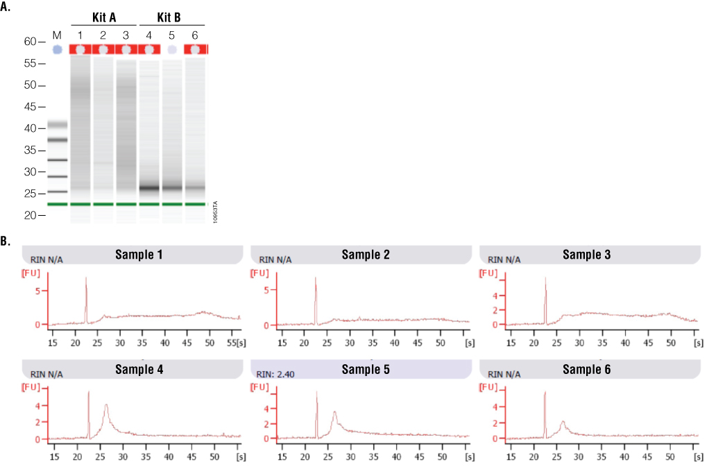 Methods Of RNA Quality Assessment