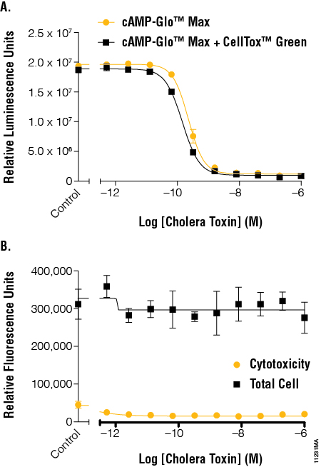 Cholera toxin multiplexing results.
