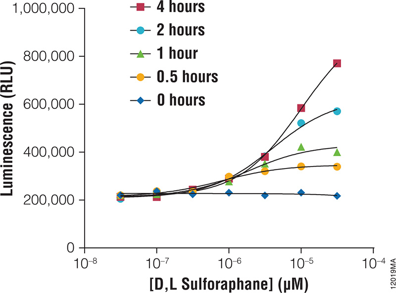 Rapid stabilization and accumulation of NRF2 monitored with NRF2-NanoLuc® fusion protein.