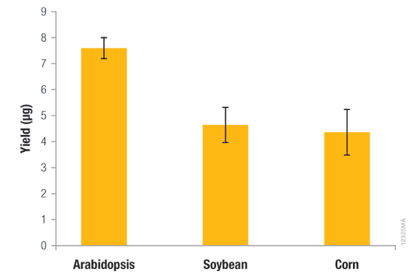 Yield of RNA from corn, soybean, arabidopsis using Maxwell Plant RNA kit