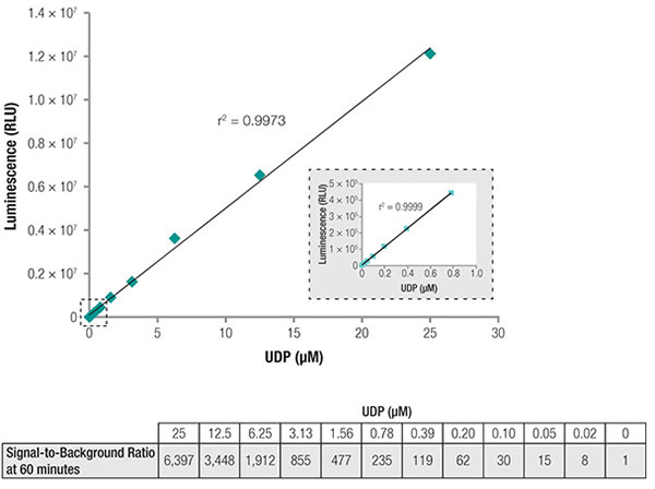 Standard curve using UDP concentrations from 0.02 micromolar to 25 micromolar.