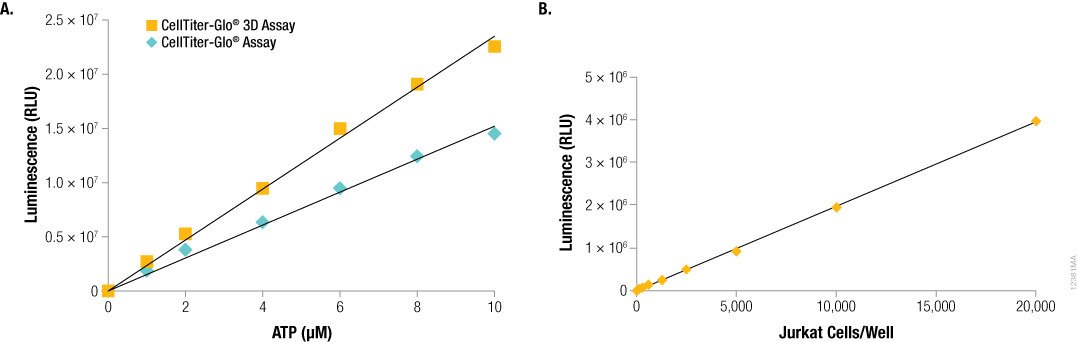 CellTiter-Glo® 3D: A Sensitive, Accurate Viability Assay For 3D Cell ...