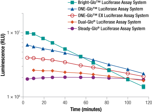 比较荧光素酶检测试剂之间的信号强度和持续时间