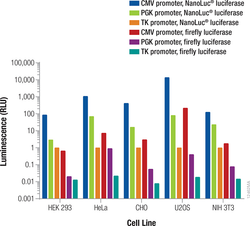 Relative luminescence from luciferase reporters expressed in various cell lines