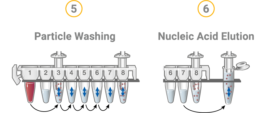 Maxwell® RSC Genomic DNA Kit