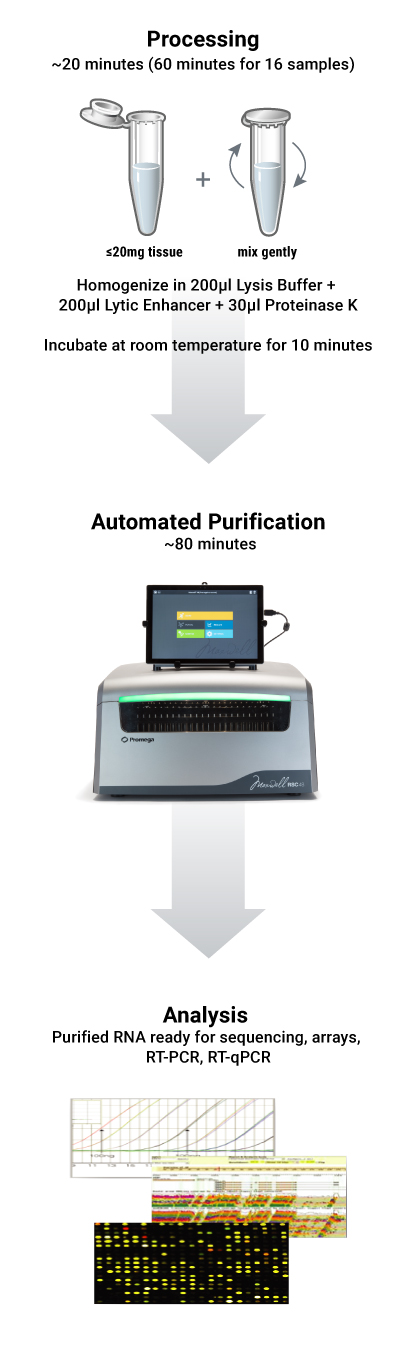 Automated miRNA extraction from tissue protocol