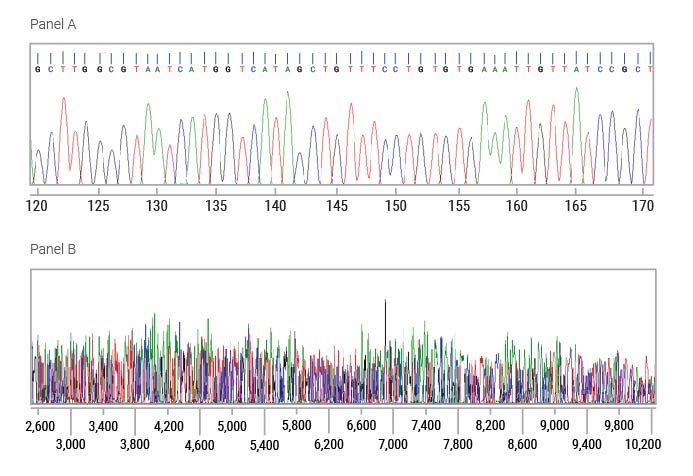 Example sequence data from the Spectrum Compact CE system.