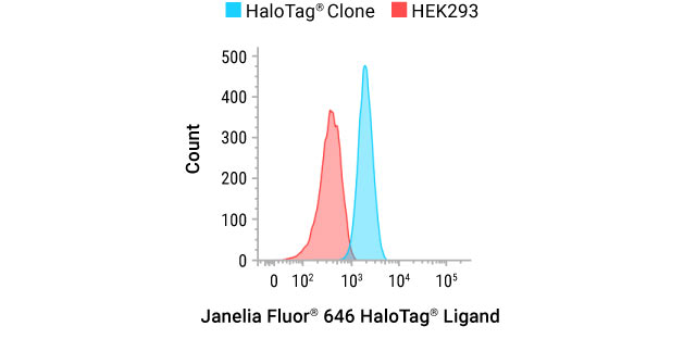 Excitation-emission spectra for Janelia Fluor 549 and 646 HaloTag Ligands  15262ta-w
