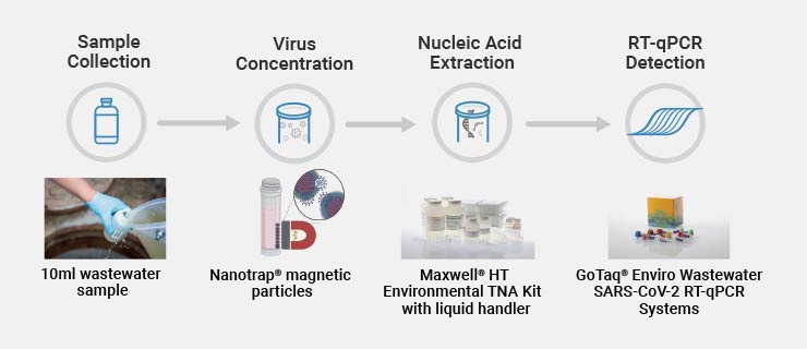 Workflow for Nucleic Acid Extraction from Wastewater