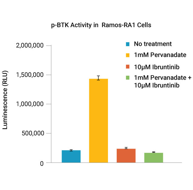 18332ma-p-BTK Activity in Ramos-RA1 Cells
