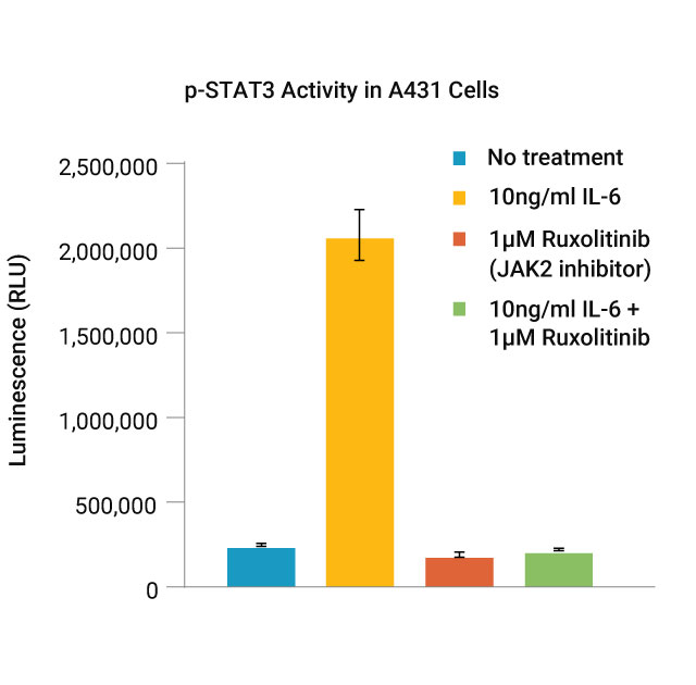 18333ma-p-STAT3 Activity in A431 Cells