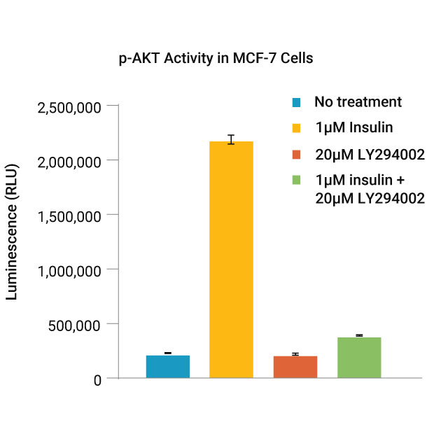 18334ma-p-AKT Activity in MCF-7 Cells