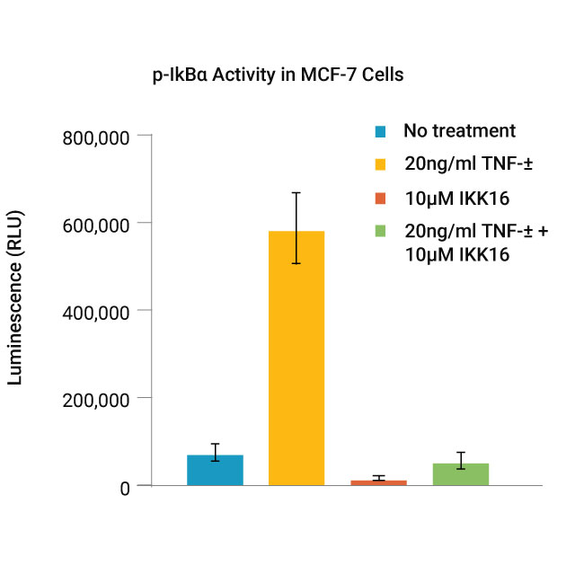 p-IKB alpha activity in MCF7 cells