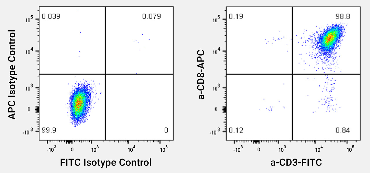 Depiction of representative purity of CD8 T Cells (TDCC-Qualified).