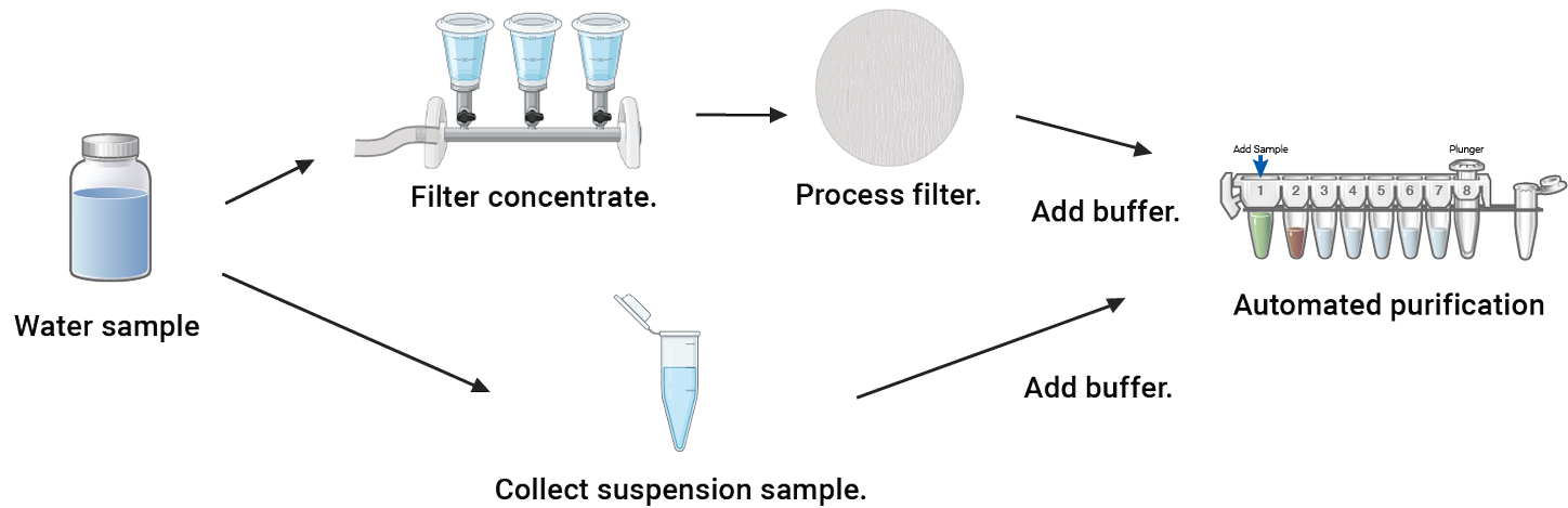 Drawing showing flexible DNA purification workflows for both unconcentrated suspension samples and concentrated samples collected on filters.