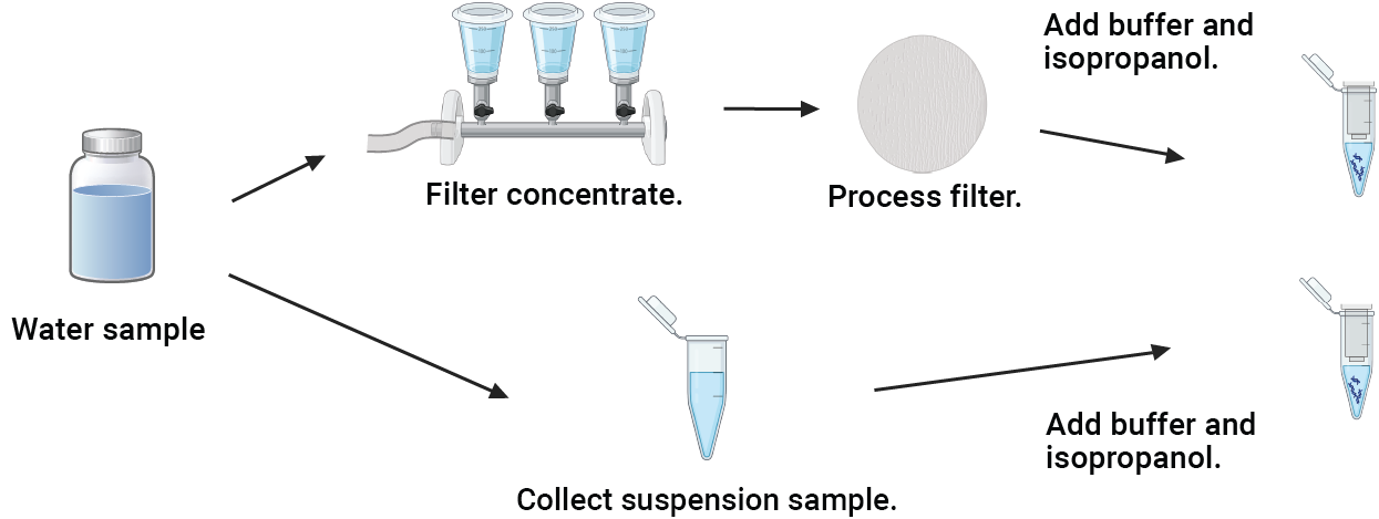 Drawing showing flexible DNA purification workflows for both unconcentrated suspension samples and concentrated samples collected on filters.