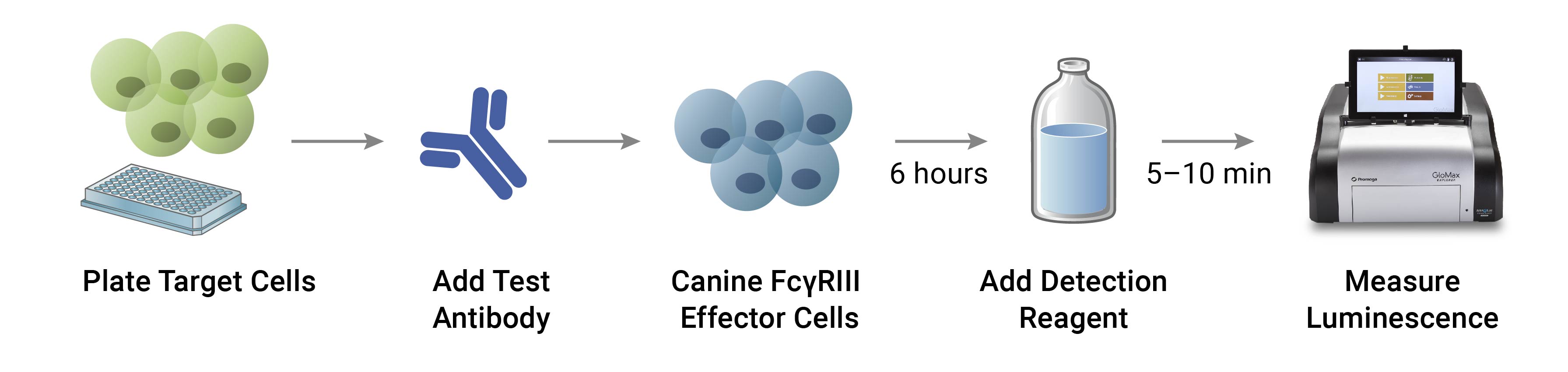 Illustration depicting Canine PD-1/PD-L1 Blockade Bioassay assay workflow.