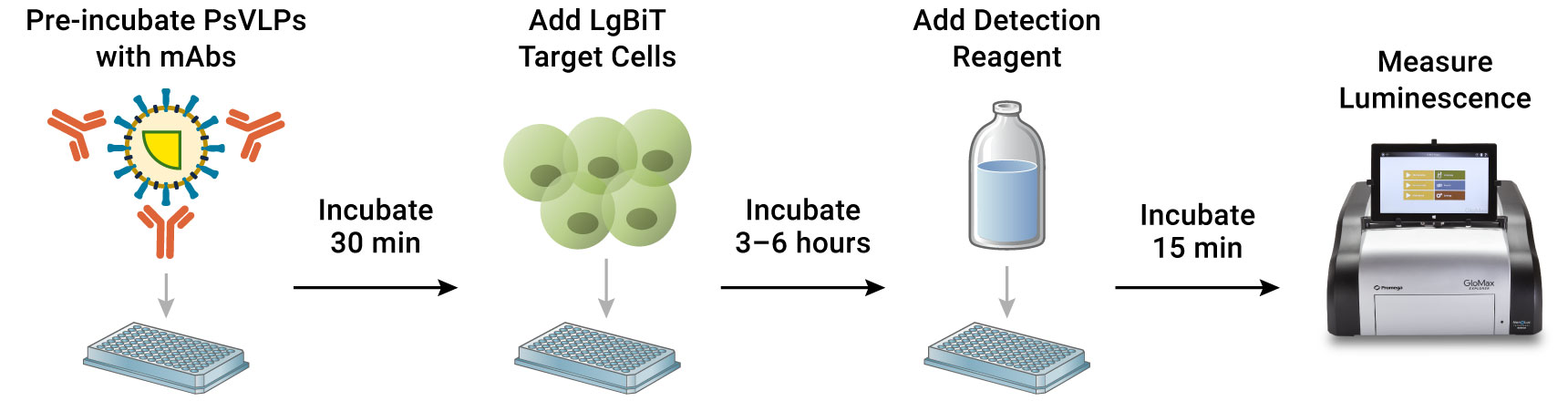 Drawing showing the HIV HiBiT-PsVLP Bioassay workflow.