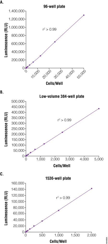 Cell number correlates with luminescent output.