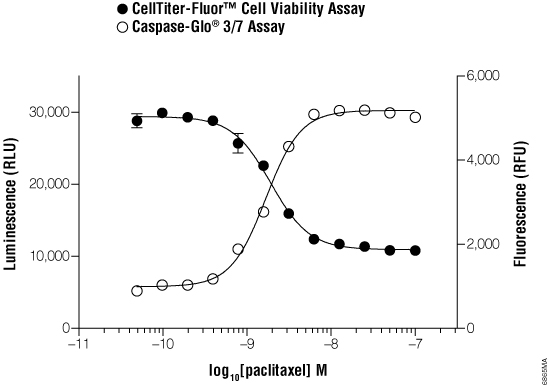 Multiplex of CellTiter-Fluor Assay and Caspase-Glo 3/7 Assay.