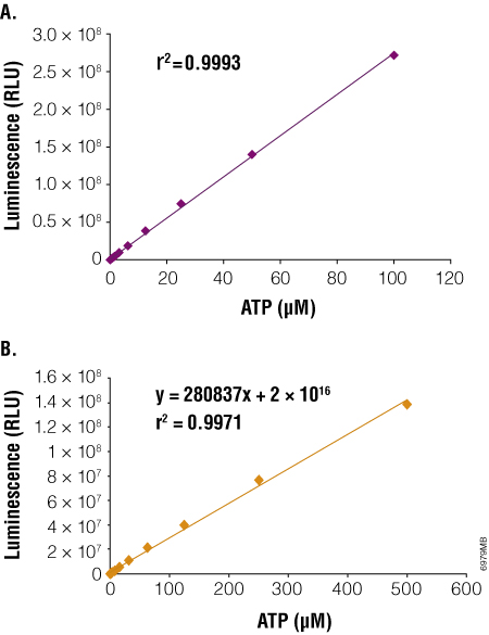 Luminescent output correlates with amount of ATP.
