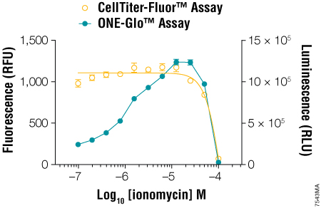 Multiplexing the CellTiter-Fluor™ Cell Viability and ONE-Glo™ Luciferase Assays.