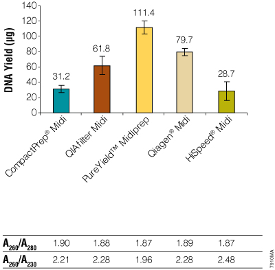 Yield and purity measurements of plasmid DNA isolated from PureYield and Qiagen midiprep kits.
