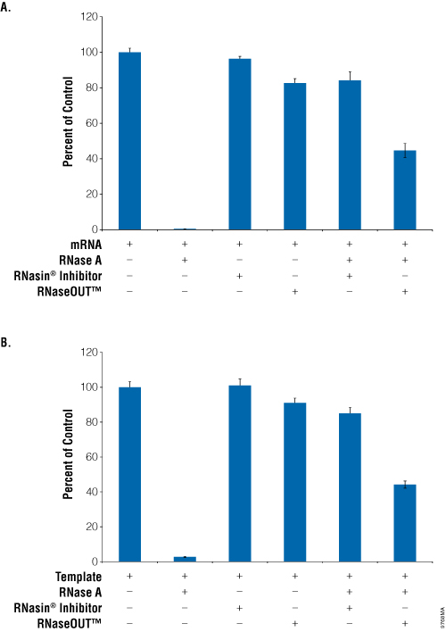Comparison of RNasin® Ribonuclease Inhibitor and RNaseOUT™ inhibition of RNase A during in vitro translation.