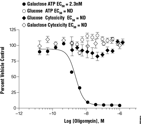 Mitochondrial responsiveness to a model mitochondrial toxin in the presence of galactose or glucose.