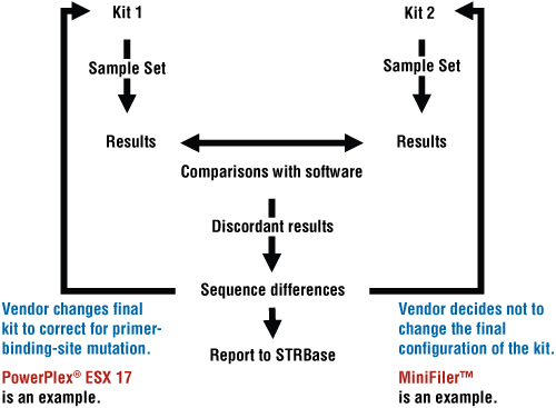 Summary of the steps used in concordance testing and how they affect STR multiplex development.