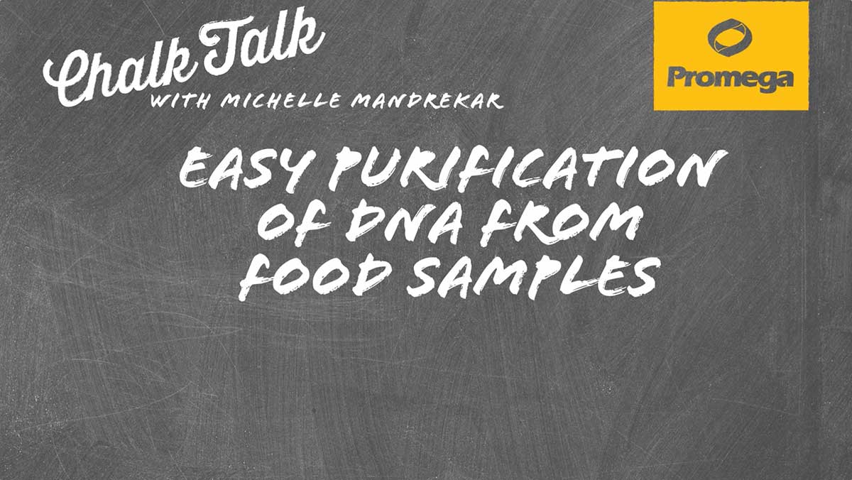 Easy Purification of DNA from Food Samples
