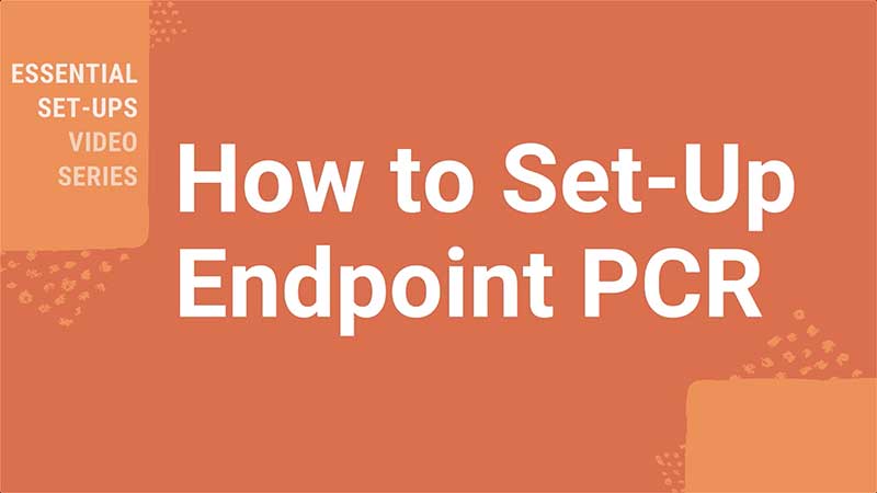 Pcr Amplification An Introduction To Pcr Methods Promega