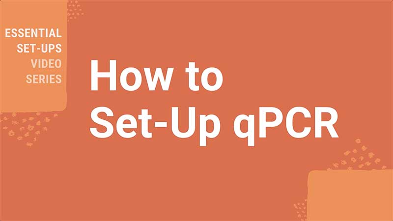 Pcr Amplification An Introduction To Pcr Methods Promega