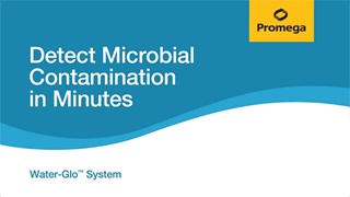 在几分钟内检测微生物污染
