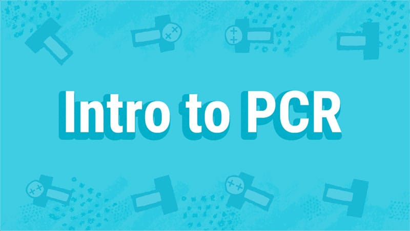 Introduction to PCR Animation