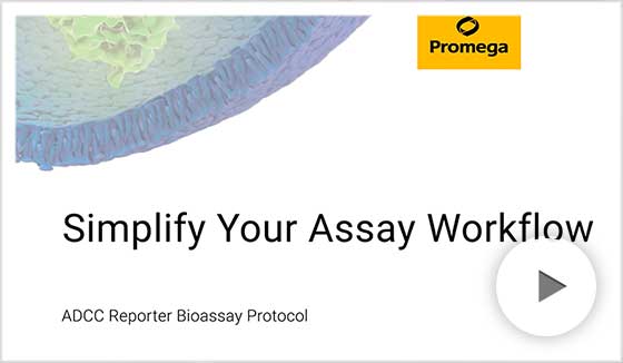 ADCC Bioassay Effector Cells, Propagation Model Protocol