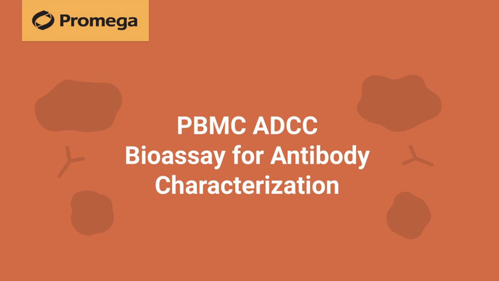PBMC ADCC Bioassay For Antibody Characterization