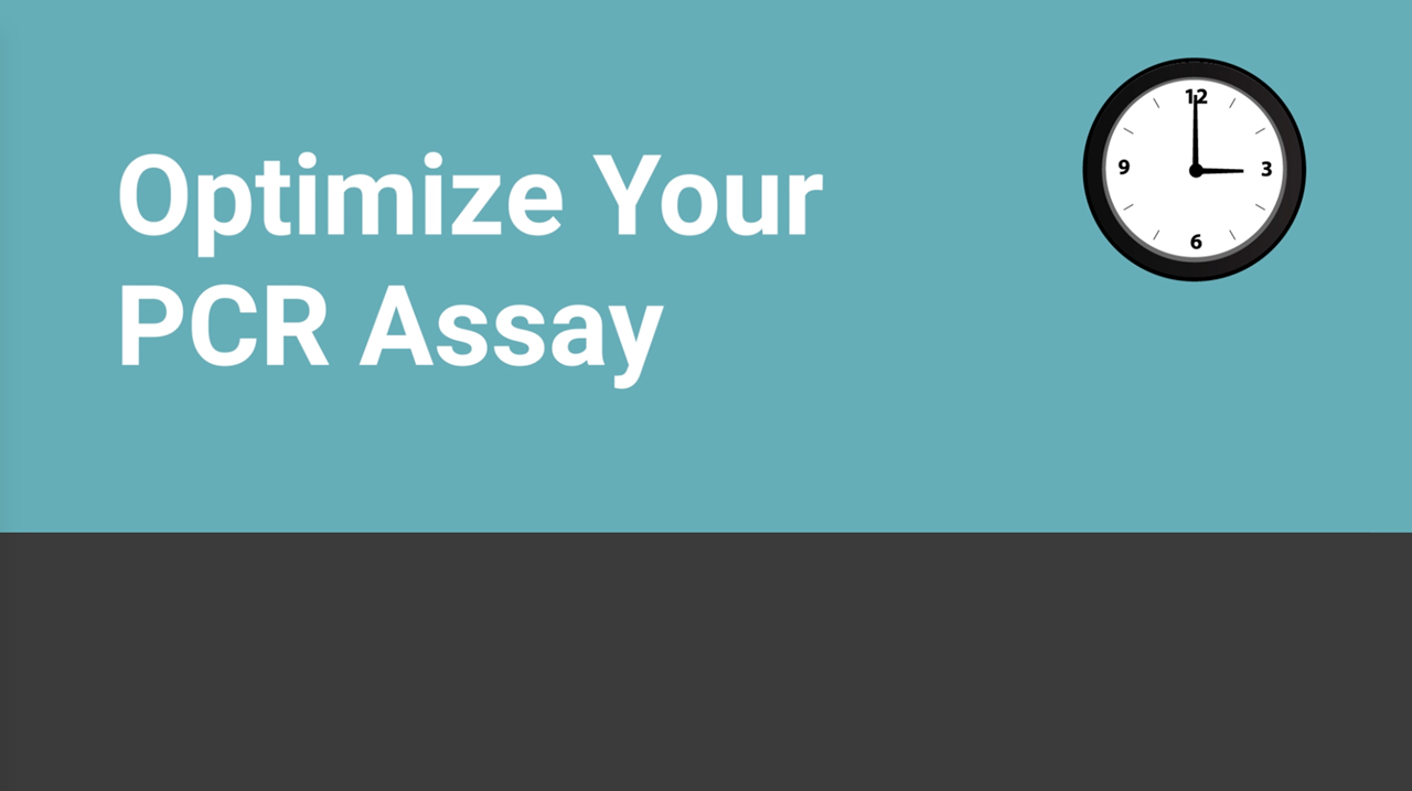 Optimize Your PCR Assay Video