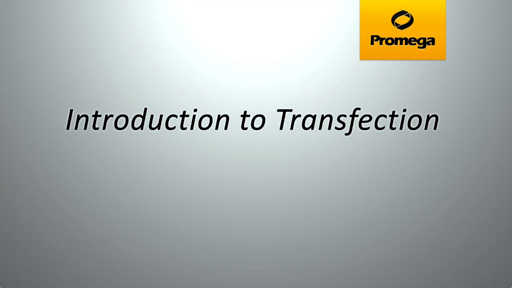 Transfection Guide | Overview of Transfection Methods | Promega