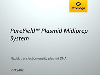 PureYield Plasmid Midiprep System Video