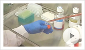 Preparation of Cell Culture Video Thumbnail