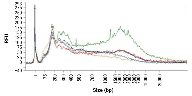 Fragment analysis of DNA purified from FFPE samples 