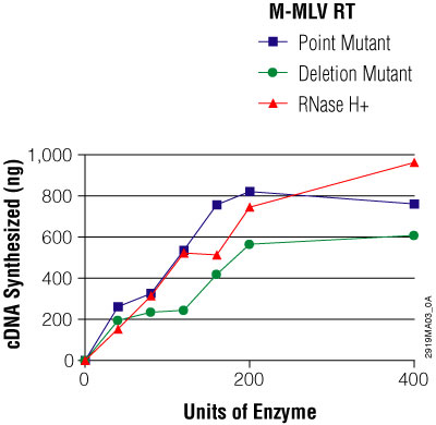 Properties of MMLV reverse transcriptases